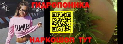 spice Коммунар