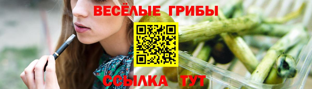 Карталы  Псилоцибиновые грибы Cubensis  Псилоцибиновые грибы мухоморы  Вход с VPN 